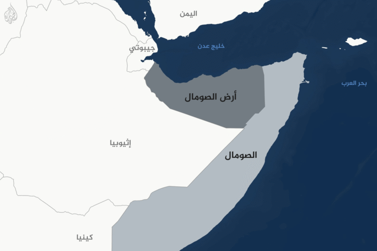 عدوى الانفصال.. لماذا تنقسم أرض الصومال إلى كيانين؟ | سياسة