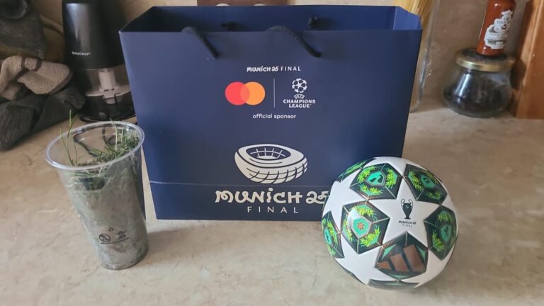 ces supporters du PSG qui ont arraché un bout de pelouse après le titre en Ligue des champions à Munich