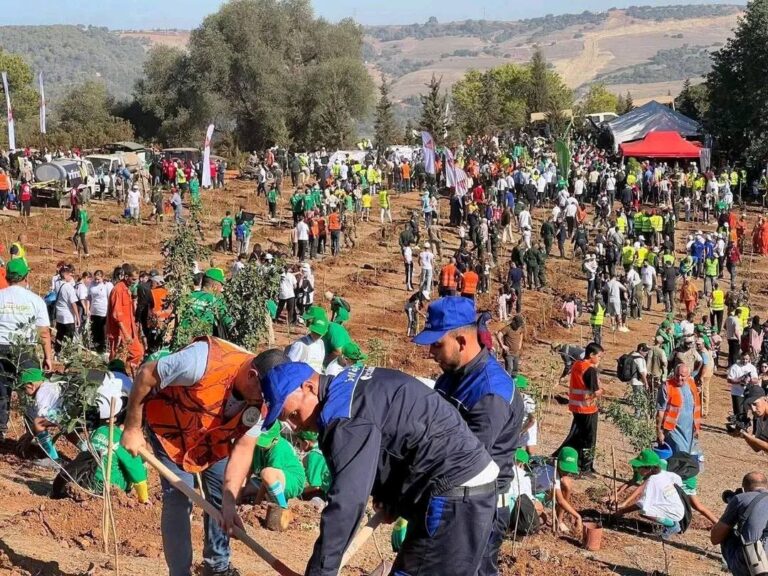 صور من الجزائر الخضراء تعكس مبادرة رائعة. حملة لتجميل البيئة، نرجو أن تحقق أهدافها بنجاح.