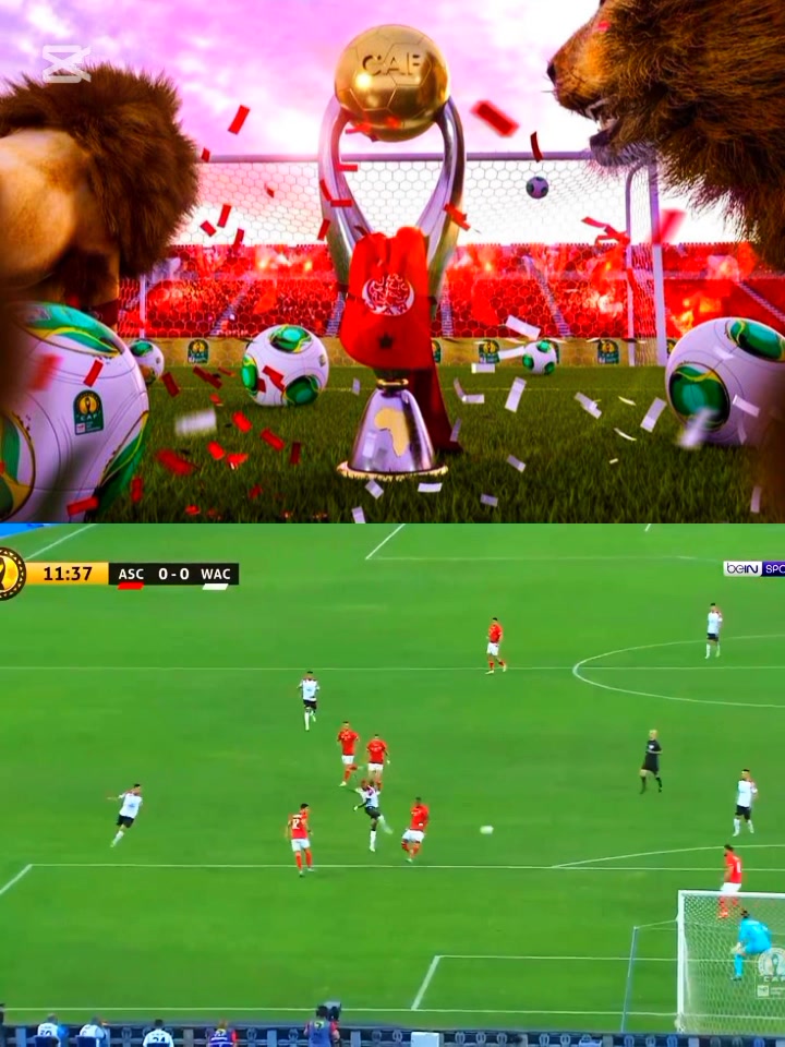 الوداد يمنح صغار الفريق فرصة تأكيد مكانتهم في إفريقيا، والجاهلي يتسم بالسهولة.