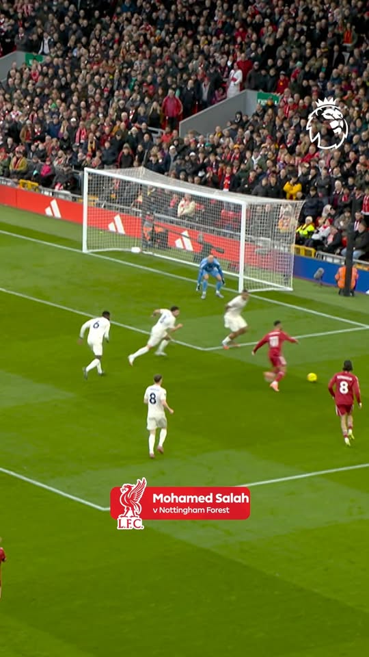 أي من مهارات الجولة 12 كانت الأفضل لديك؟ شاركنا رأيك في هذه السلسلة المميزة!