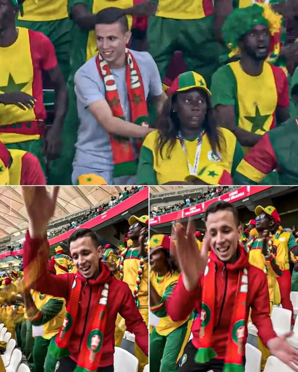 المشجع المغربي في لحظة مميزة: رقص مع مشجعي السنغال في كأس ...