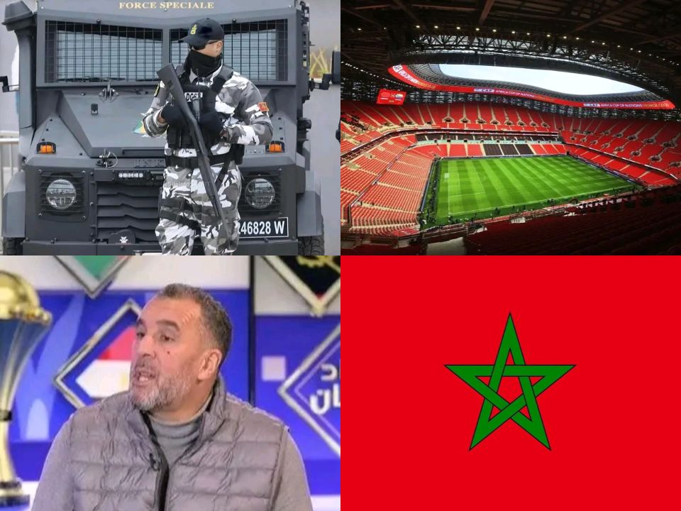 يا إلهي، لقد رأيت الكثير من أنواع الحيوانات حتى شعرت بالتعب، لكن لم أر أبداً شيئاً مثل هؤلاء الحيوانات...