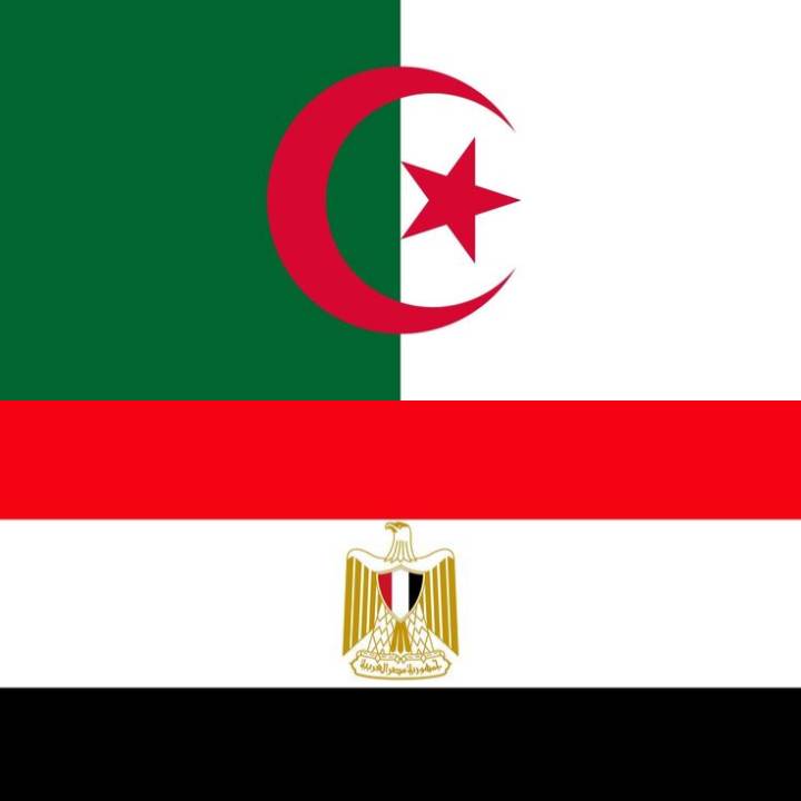 كأس إفريقيا التي أُقيمت في بلدنا أوضحت درسًا واحدًا: لا تقدم المعروف للناكرة.