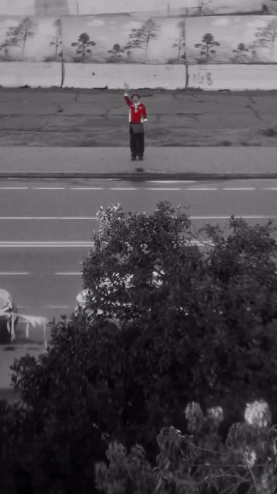 الوداد الرياضي يطلق علامته التجارية "WAC" ضمن مشروع شامل ل...