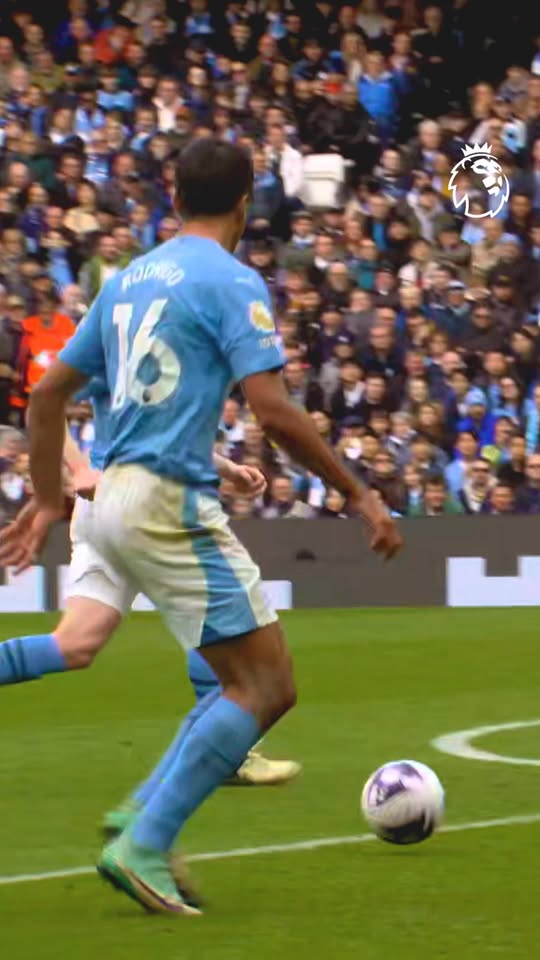 أكمل العبارة: @Erling Haaland هو _______ أ) نصف كنغر ب) مصنوع من...