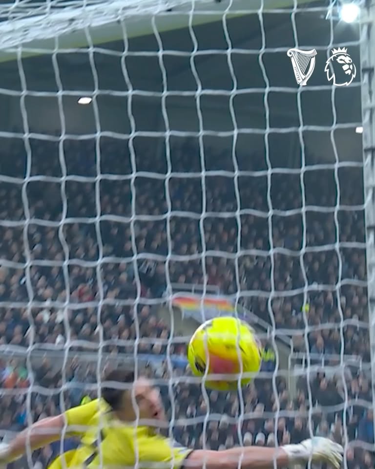 أفضل الأهداف في الجولة 23، كما اختارتها موسوعة جينيس، تميزت بضربات مذهلة.